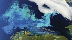 ノルウェー北部沖のバレンツ海に広がる植物プランクトン。海流が青と緑の美しい渦を作り出している＝ESA提供