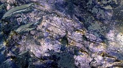 ホイヘンス盆地にある炭酸塩鉱物は、湿潤な環境の痕跡を示す