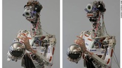 Ｅｃｃｅｒｏｂｏｔ：ただ外見を人間に似せるのではなく、骨や関節、筋肉なども模倣したロボットの開発プロジェクトが欧州連合の資金援助の下に進められている　写真提供：Patrick Knab