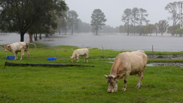 一部が浸水した牧場＝２８日、クイーンズランド州ゴールドコースト