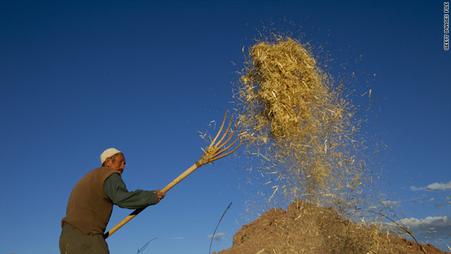 「アラブの春」は気候変動の影響で小麦価格が高騰したことで発生したとの見方も