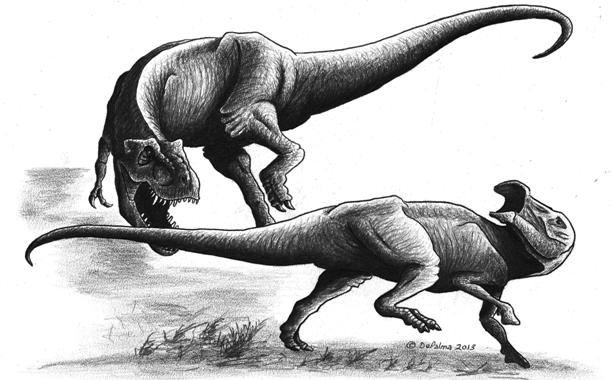 ティラノサウルス・レックスは捕食動物だった？ (C)Robert DePalma Univ of Kansas