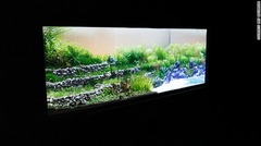 長さ１．５メートル、８０センチの深さの水槽では日本の水田を表現している＝ART AQUARIUM提供