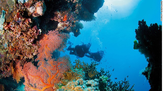 世界最大規模のサンゴ礁「グレートバリアリーフ」＝豪クイーンズランド州観光局
