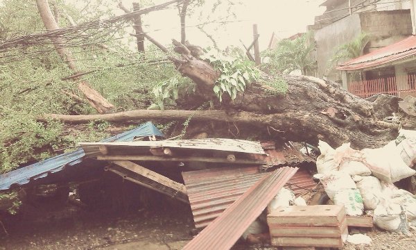 台風が直撃したフィリピンでは１万人規模の死者が出たとの見方も