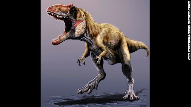 大型肉食恐竜の化石が発見された＝フィールド自然史博物館提供