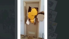 バスルームに閉じ込められた米選手、ドアをパンチで破り脱出