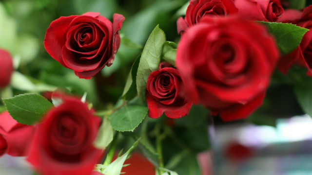 バレンタインデーを前に、大量の花が税関に押し寄せているという