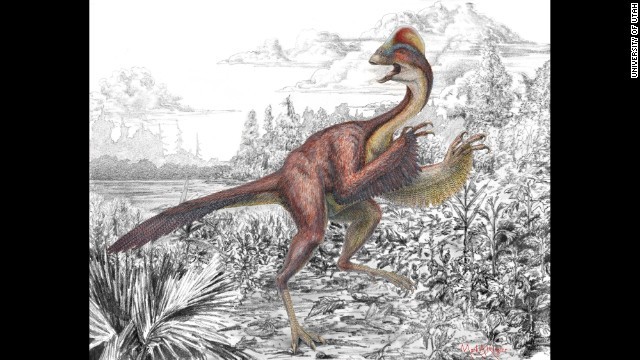 新種の恐竜の化石が見つかった＝ユタ大学提供