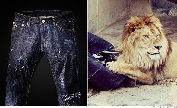 ライオンが引き裂いたデニム生地でジーンズを作った＝ZOO-JEANS.COMから