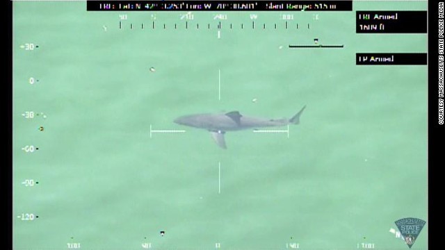 ホオジロザメが発見され、海岸が一時閉鎖された＝州当局提供