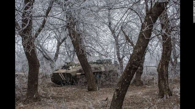 林の中に停留するウクライナ軍の戦車＝１５日、東部ドネツク