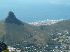ケープタウンのテーブルマウンテン国立公園は南アフリカで最も人気のある公園の１つ