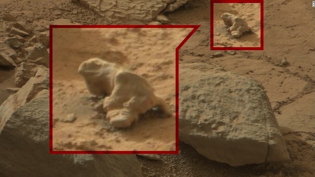火星からの写真に生き物が写っていたという「目撃情報」が