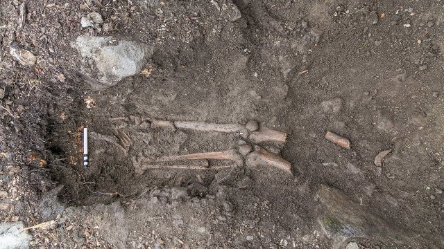 遺骨は１０３０～１２００年ごろのものだったという＝Thorsten Kahlert