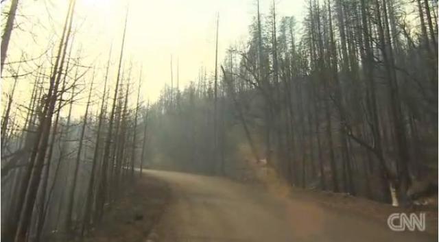 カリフォルニア州の各地で森林火災が発生