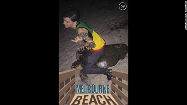 ウミガメの上に女性が乗った写真がネットに出回り非難の声が上がっていた＝メルボルン警察
