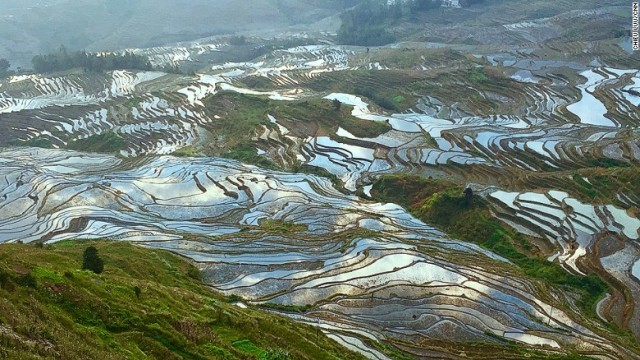 雲南省に住む少数民族、ハニ族が作った広大な棚田