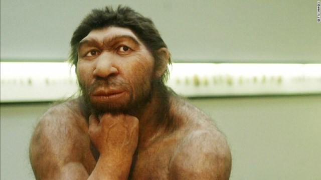 人類の祖先とネアンデルタール人との間に多くの子孫が産まれていた？