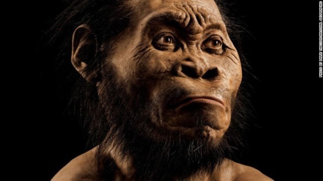 人類と原始人の特徴を併せ持つというホモ・ナレディ＝M. Thiessen/National Geographic