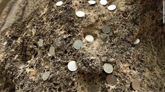 ８．仁王門のすぐ下にある弥陀洞（みだほら）の岩。岩肌には参拝者たちがさい銭として押し込んでいった無数の１円玉が見られる