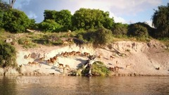 内陸部の湿地帯としては世界最大級のオカバンゴ・デルタ