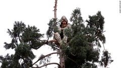３月２３日：米シアトル中心部で木のてっぺん付近に座る男。２２日に当局が通報を受けた後も１日近く枝につかまっていたが、その後、木から降り、器物損壊の容疑で起訴された