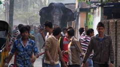 ２月１０日：インド・シリグリの町中に迷い込んだ野生のゾウ