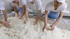 「高清水」の製造工程の一つ。米を糖化させるのに使うこうじは酒の品質に影響する
