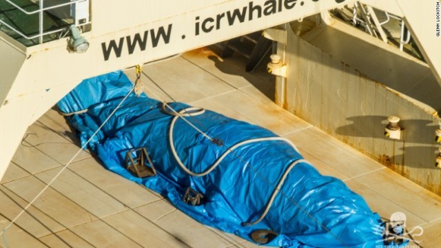 シー・シェパードによれば、船に防水シートにつつまれたクジラの死骸があるのを目撃したという