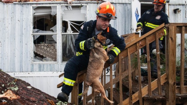 竜巻で損傷した家の中に閉じ込められた犬を救出する消防士