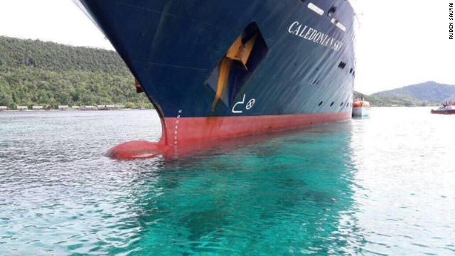 クルーズ船が座礁してサンゴ礁を破壊