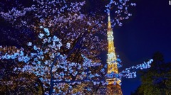 日本気象協会が桜開花予想を発表。国内外から多くの旅行客の予約が入る