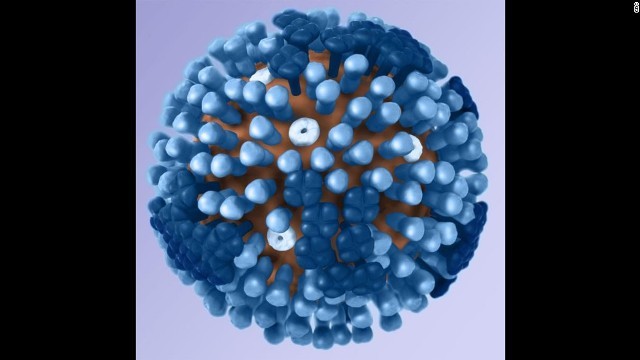 インフルエンザウイルスのイメージ図。表面の突起の種類によって細かく分類される