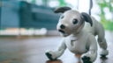 ソニー、イヌ型ロボット「アイボ」再び　新型を１月発売