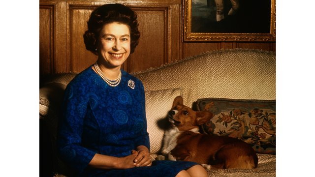 ペットのコーギー犬の１匹と写真に収まる英エリザベス女王＝１９７０年