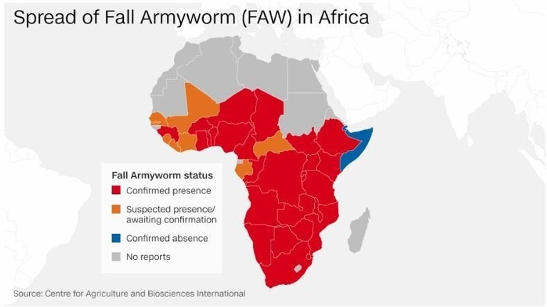 アフリカ各地で壊滅的な被害が出ている/CNN