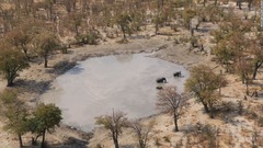 ゾウ９０頭の死骸発見、アフリカ南部にも密猟が拡大　ボツワナ