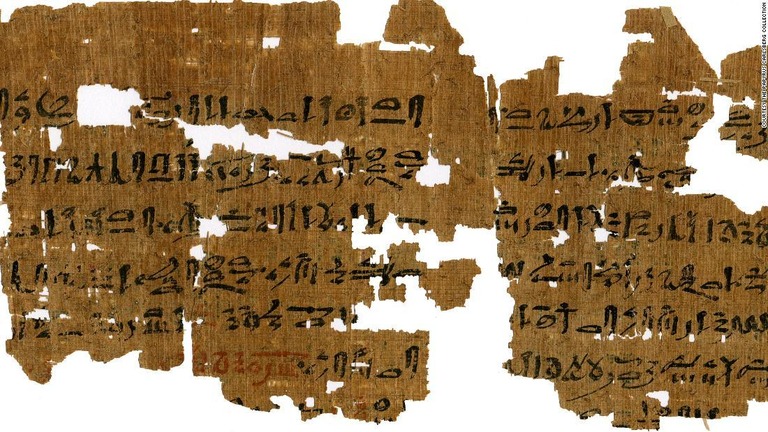 女性の妊娠検査法が書かれた古代エジプトのパピルス/Courtesy The Papyrus Carlsberg Collection