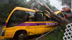 倒木で破損したスクールバス＝香港
