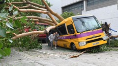 台風２２号によって倒れた木によって破壊されたスクールバス＝香港