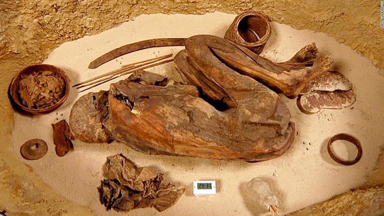 伊トリノの博物館に１９０１年から保管されている先史時代のエジプト人の遺体/Raffaella Bianucci