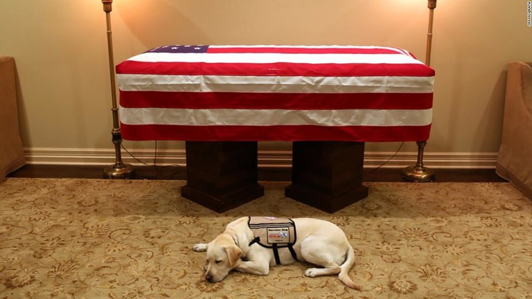 故ジョージ・Ｈ・Ｗ・ブッシュ元大統領の棺に寄り添う介助犬「サリー」/Jim McGrath