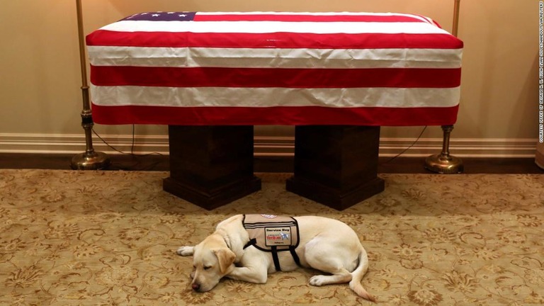 ブッシュ元大統領に最後まで寄り添った介助犬「サリー・Ｈ・Ｗ・ブッシュ」/Courtesy Office of George H. W. Bush-Evan Sisley/Handout via REUTERS
