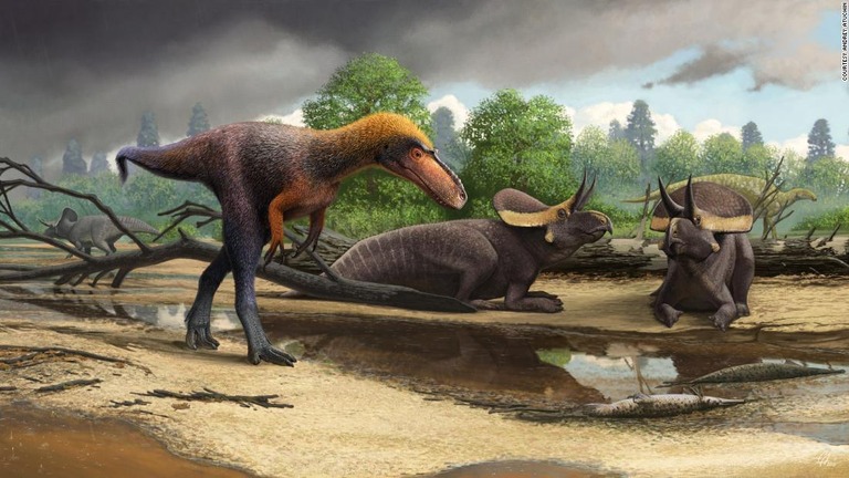 ティラノサウルスの親戚にあたる小型恐竜の化石について詳細な研究結果が公表された/Courtesy Andrey Atuchin
