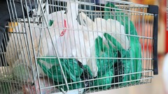 カナダ、２０２１年までに使い捨てプラスチックを禁止へ