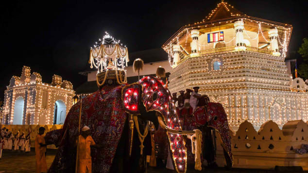 祭り用の装飾をまとわされゾウ達。連夜長い距離を歩かされるという/LAKRUWAN WANNIARACHCHI/AFP/Getty Images