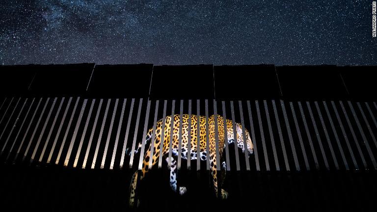 米国とメキシコの国境の壁に投影されたジャガーの写真/Alejandro Prieto