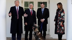 軍用犬コナンがホワイトハウスに　ＩＳＩＳ指導者殺害作戦で活躍
