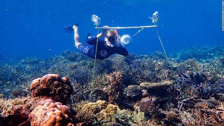 海中に設置されたスピーカー。「サンゴ礁の音」を再現することで、サンゴに集まり、とどまる魚の数が増えるという/Harry Harding/University of Bristol
